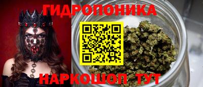эйфоретик Нальчик