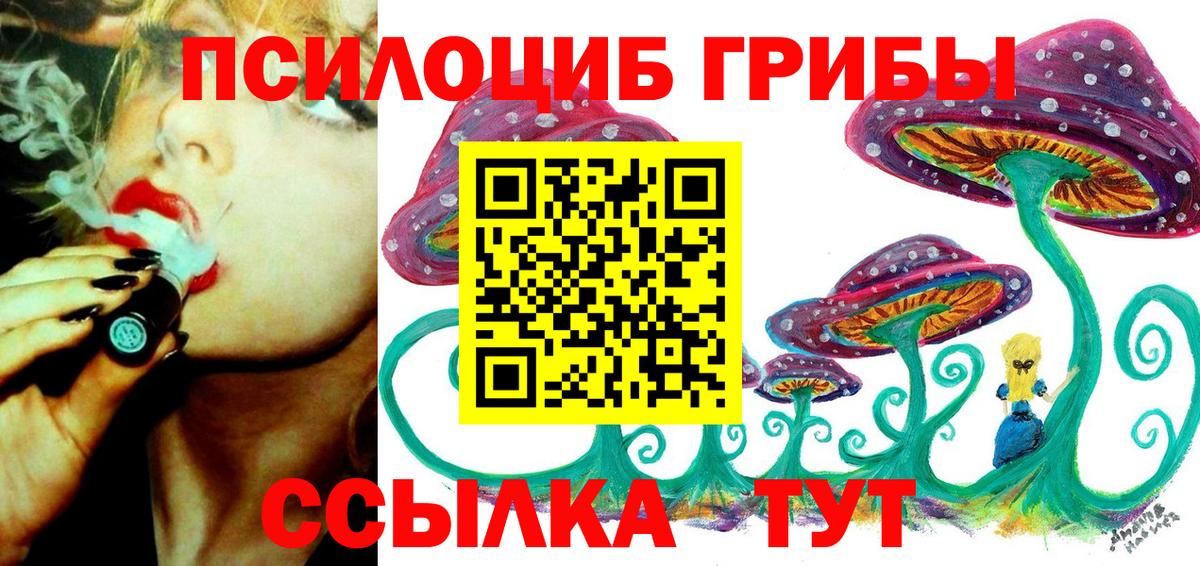 Псилоцибиновые грибы мицелий Чебаркуль